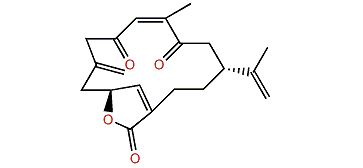 Isoepilophodione C